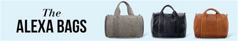 alexander wang dupe bag|alexander wang online shop.